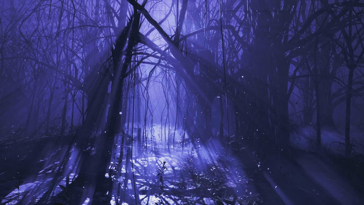 You're Lost in a Forest