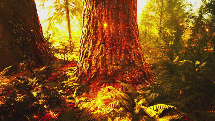 Fall into the Feywild