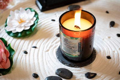 What to Read, Watch, and Play while Burning our Onsen Candles: