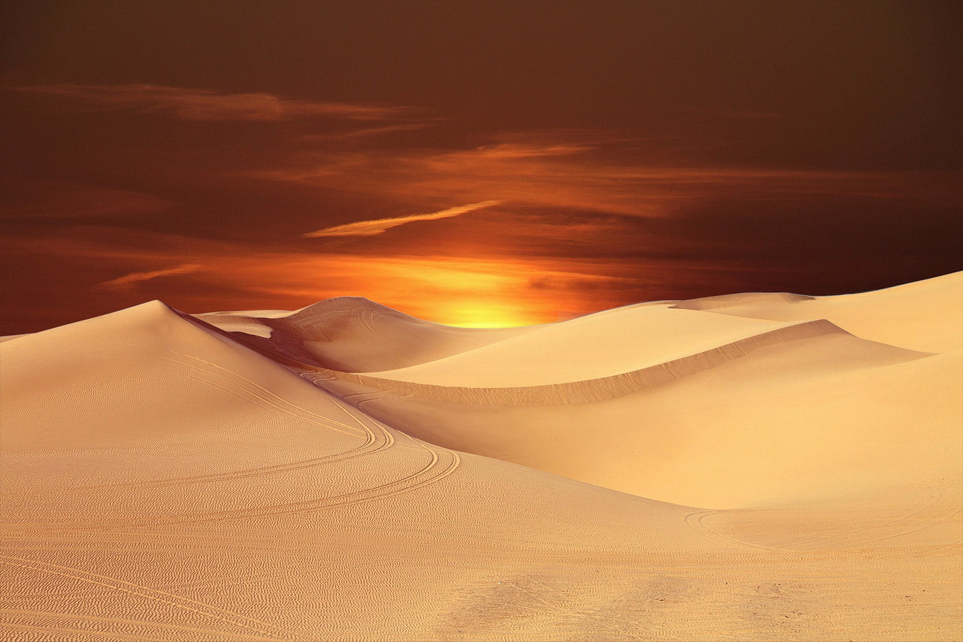 desert at sunset