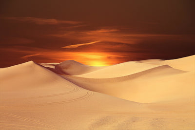 Experience the Desert Mirage
