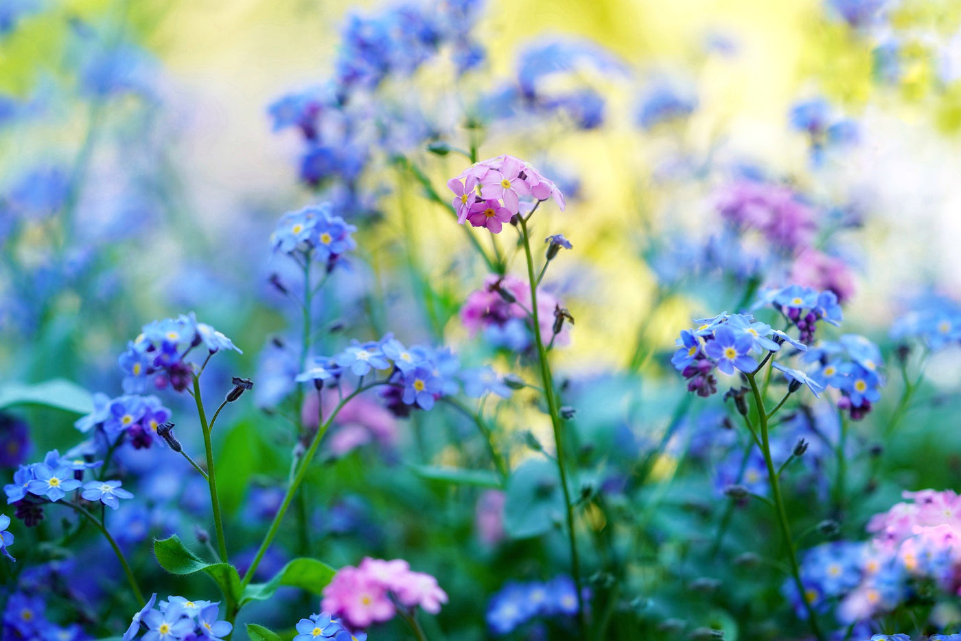 Cottage Quotes: Gardening