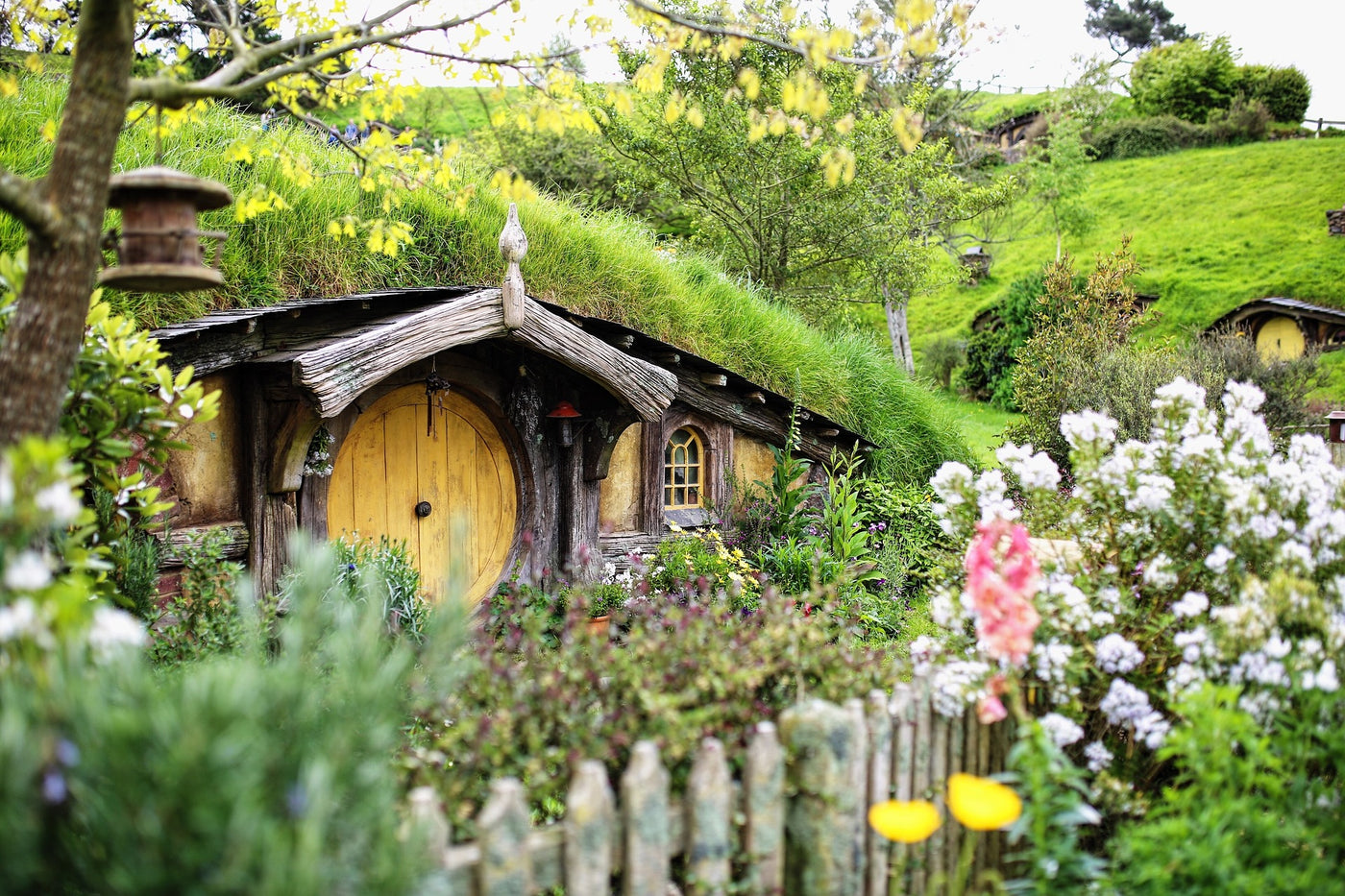 Hobbit Hole in the Shire with a Garden