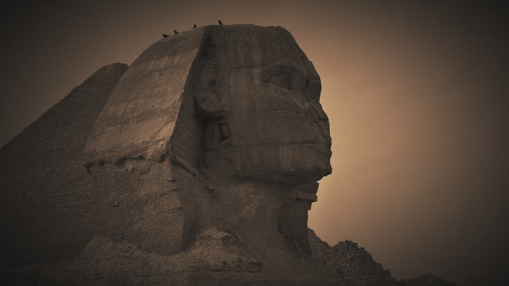 Pharaoh's Curse