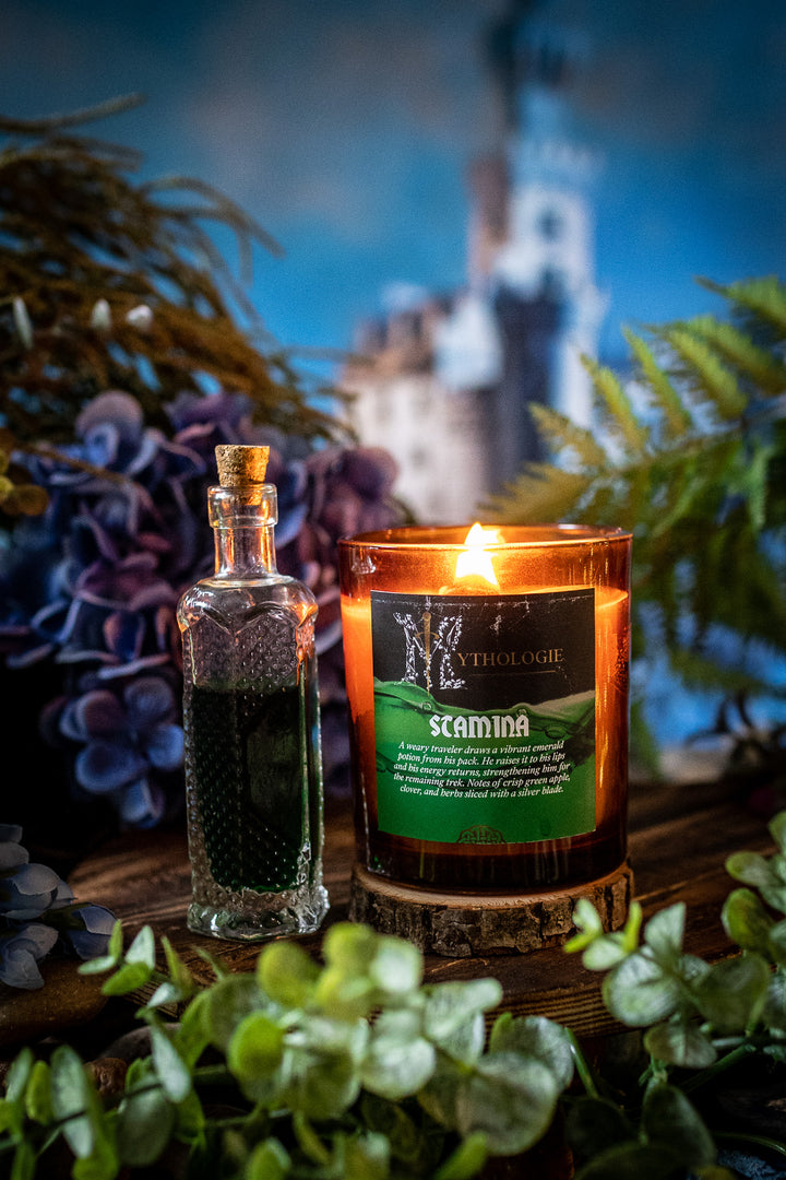 Stamina Potion