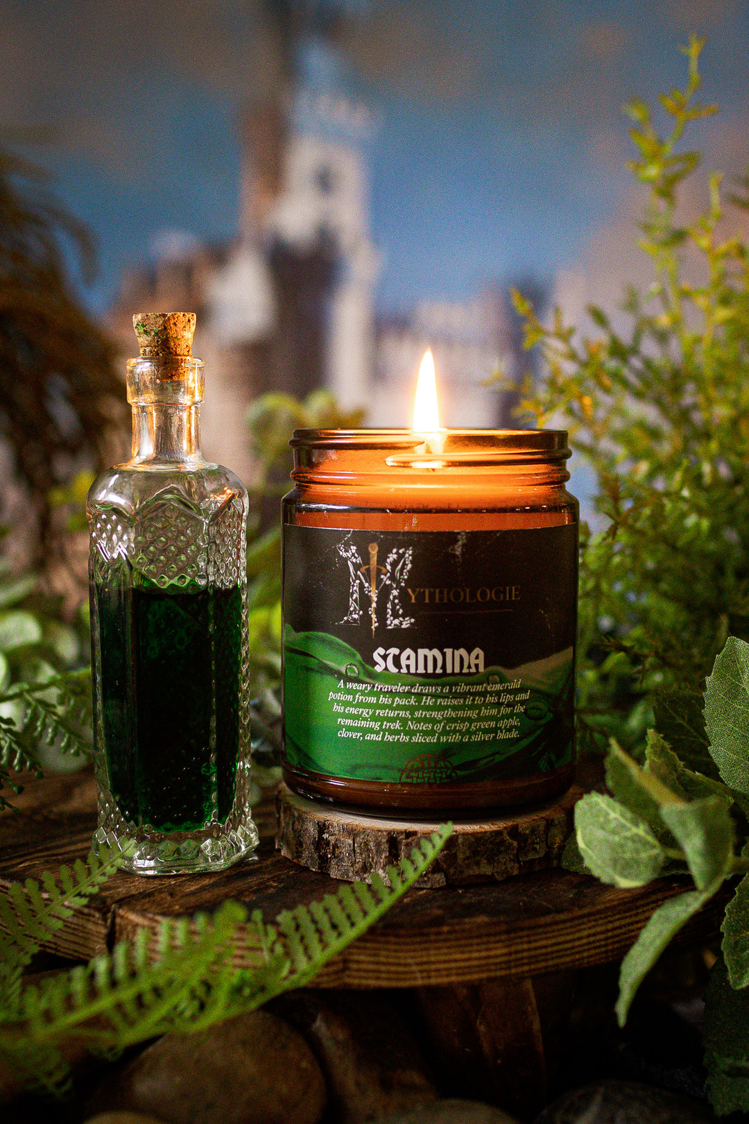 Stamina Potion