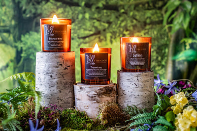 Tree Family Bundle (Guild-Exclusive)